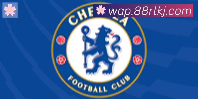 华体app登录入口合作伙伴